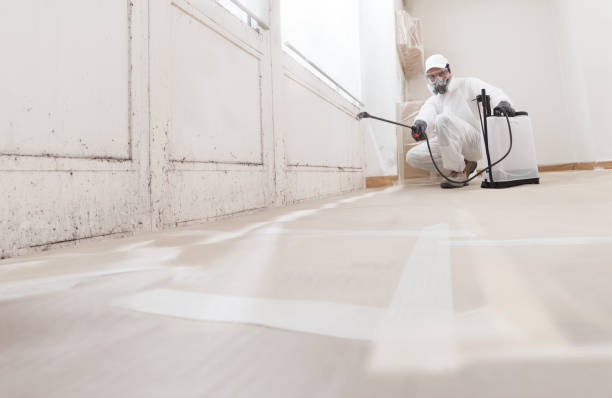 24/7 Emergency Mold Remediation experts in Tenino, WA