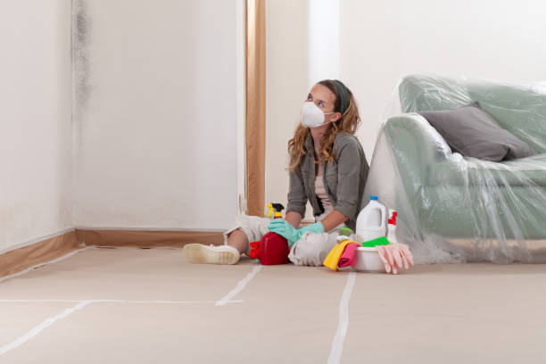 Reliable Mold Remediation contractor in Tenino, WA by 24 Hour Mold Removal